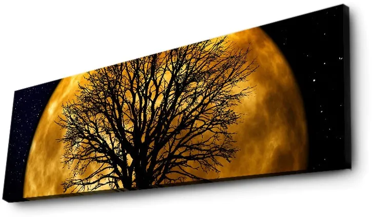 Tablou canvas cu iluminare LED Wallity 3090DACT-71, Multicolor
