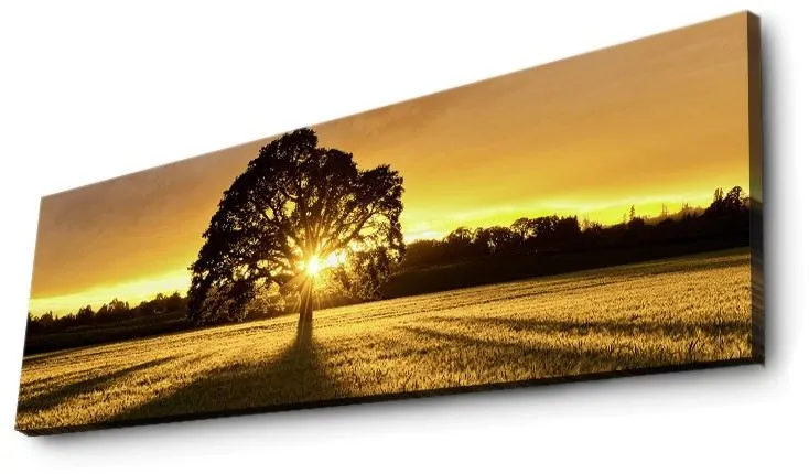 Tablou canvas cu iluminare LED Wallity 3090DACT-68, Multicolor
