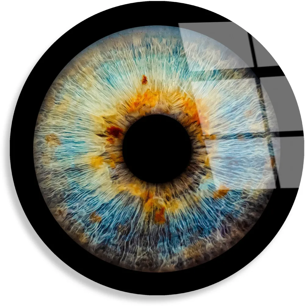 Tablou din sticlă securizată Wallity UV-1138, Multicolor