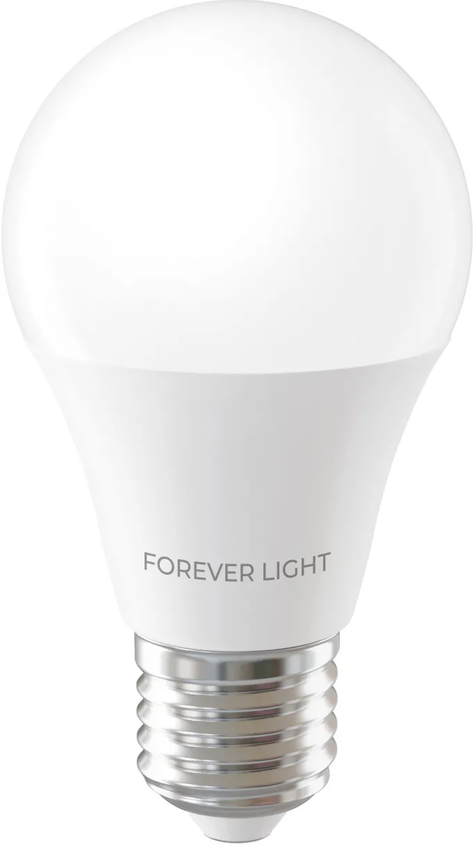 Forever Light LED Bulb E27 A55 4W 480lm 3000K class E