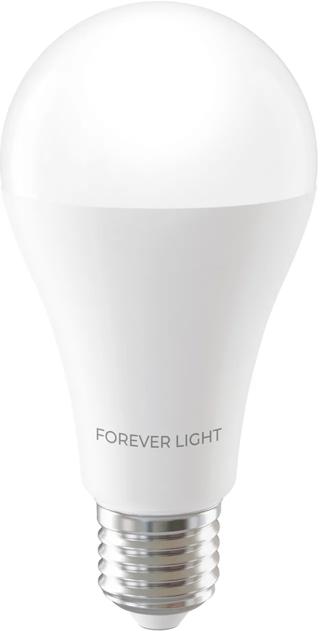 Forever Light LED Bulb E27 A65 17W 2100lm 4000K class E
