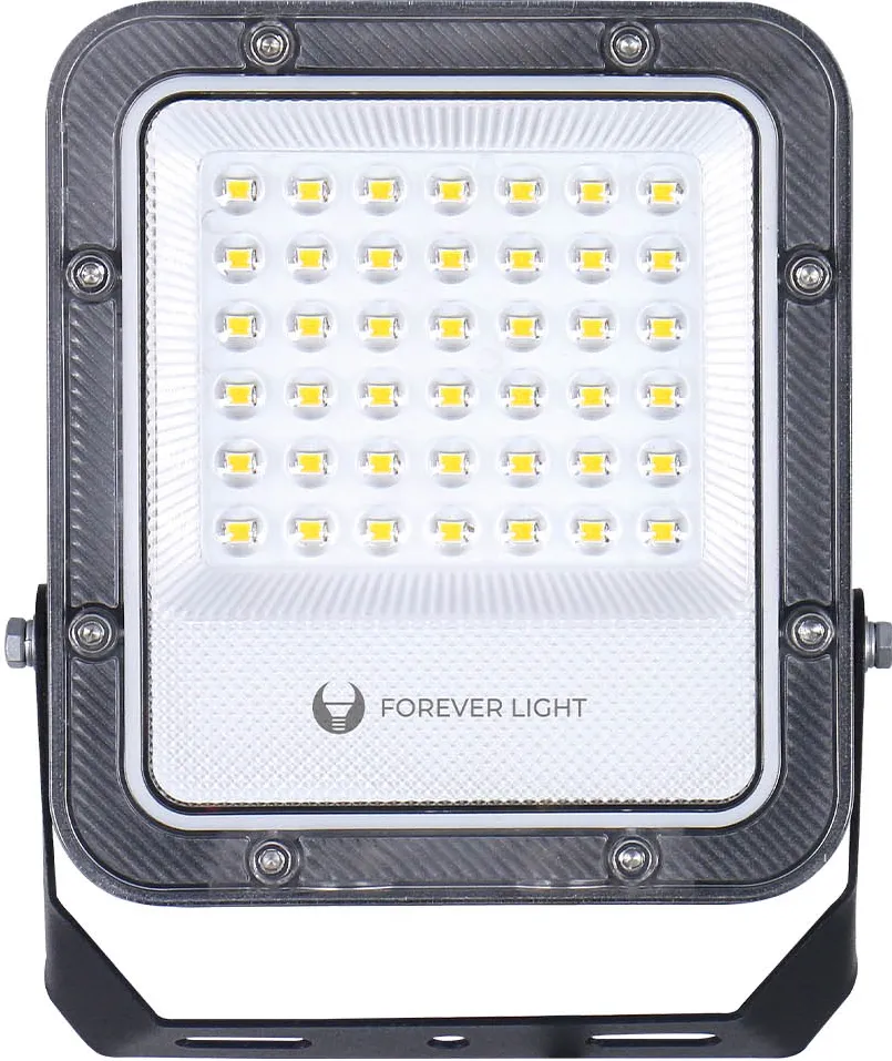 Floodlight LED PROXIM+ 30W 6500K 4500lm 230V IP65 Forever Light 150lm/W 5 years warranty