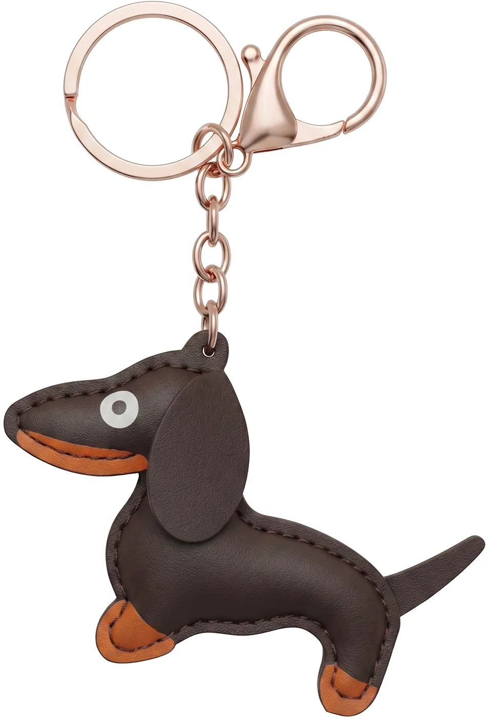 Universal chain brown dachshund