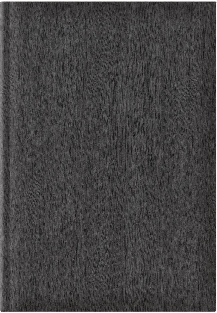 Agenda Vivione A5, nedatata, hartie offset alb, coperta negru