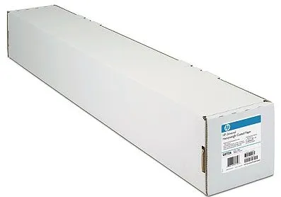 Hartie Foto HP Format Mare Normala C6036A