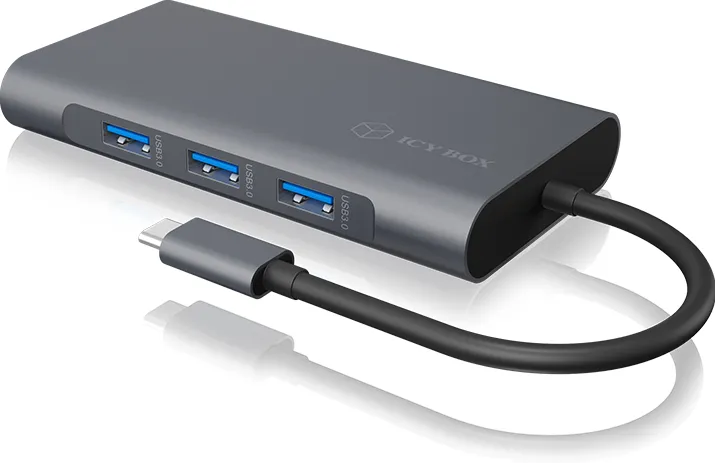 Docking Station RaidSonic Raidsonic ib-DK4040-CPD Notebook Dockingstation