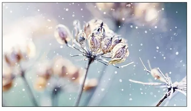 Samsung Professional VM46B-U 46 inch Video wall Mat 24h/7 500(cd/m2) 1920 x 1080(FHD) N/A 3 years d2d (LH46VMBUBGBXEN)