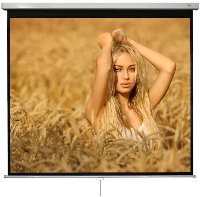 Ecran de proiectie Blackmount MN240 1:1 240 x 240 cm
