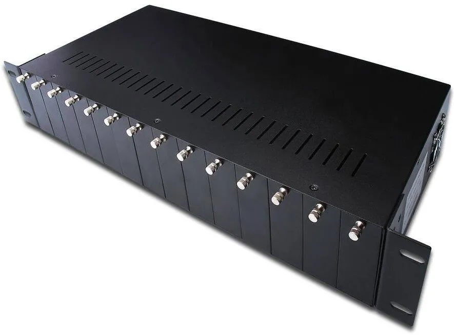 Assmann Sasiu Convertor Media 2HE 14-Slots Negru