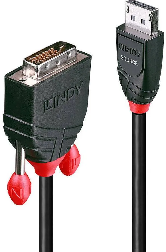 Adaptor Lindy DisplayPort an DVI 2m