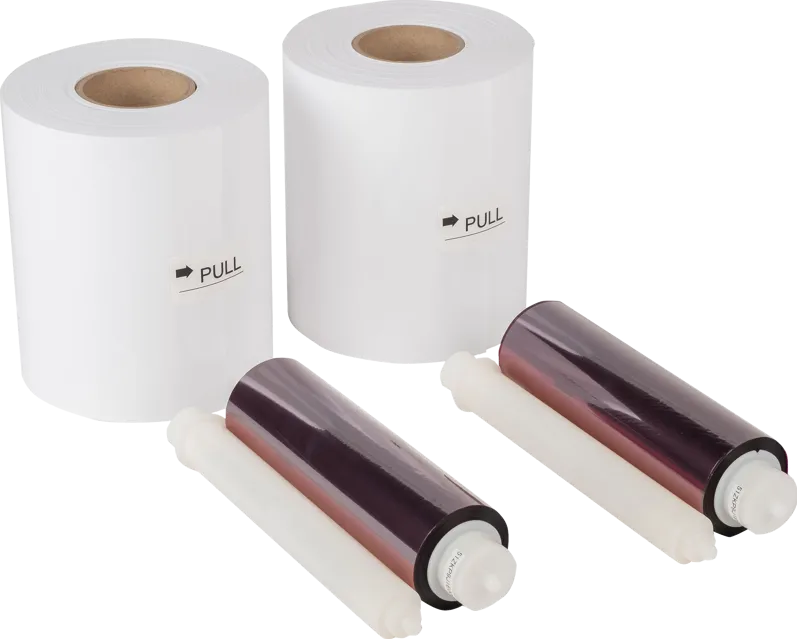 Consumabil Termic MITSUBISHI CK-746-PF42 Perfo 10x15 cm 2x400 Print