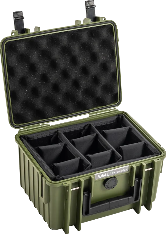 BW Outdoor Cases Type 2000 / Bronze green (divider system)