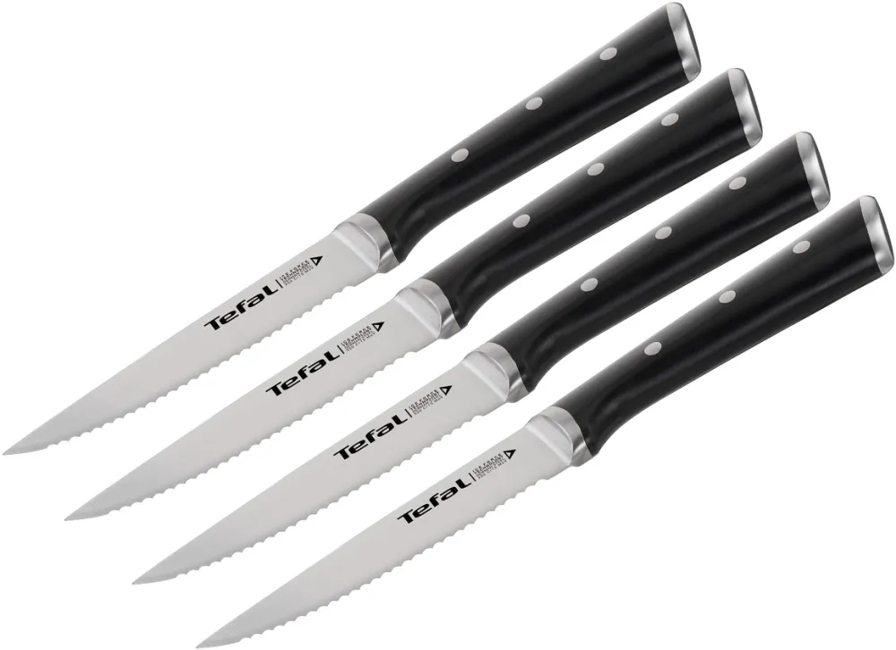 TEFAL Set de 4 cutite pentru friptura Ingenio Ice, Force 11 cm