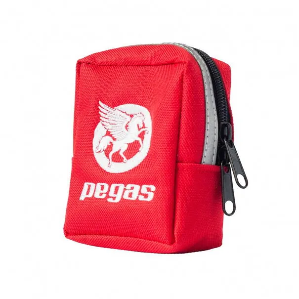 Pegas GEANTA GHIDON PEGAS SB-009, QR, ROSU
