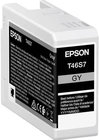 Cartus Imprimanta Epson T 46S7 25 ml Ultrachrome Pro 10 Gray