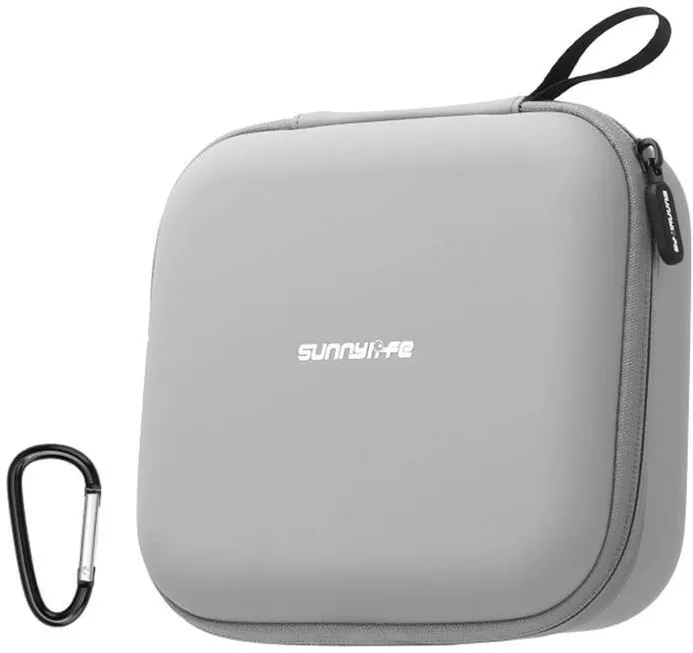 Sunnylife Body Bag FP-B957-G for Flip (gray)
