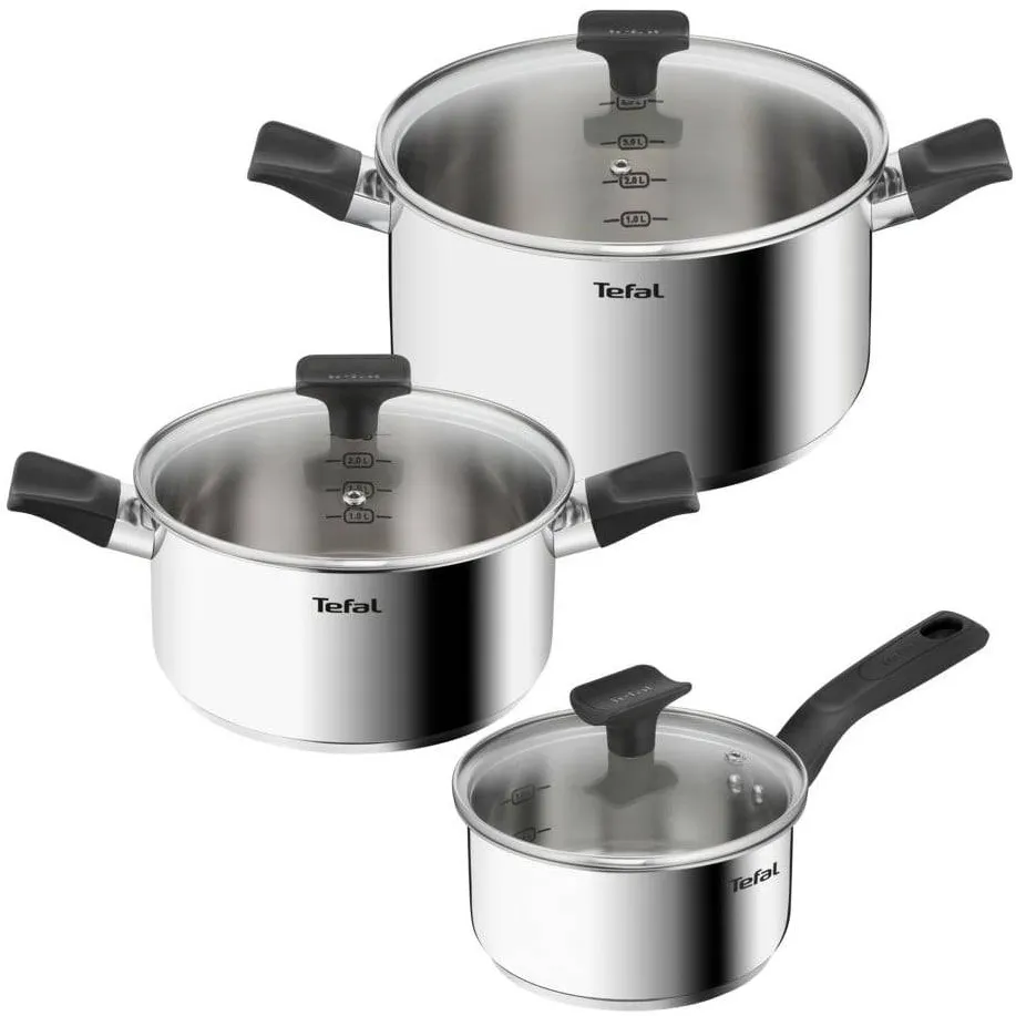TEFAL Set 6 piese Delicious, inductie, cratita de 16 cm, oala de 20/24 cm, 3 capace de sticla, manere ergonomice, interior gradat, inox premium, argintiu