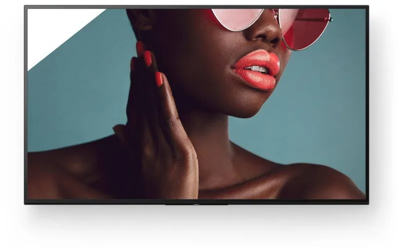 Monitor Sony FW-55BZ40L Smart 55 inch UHD IPS 8 ms 60 Hz HDR
