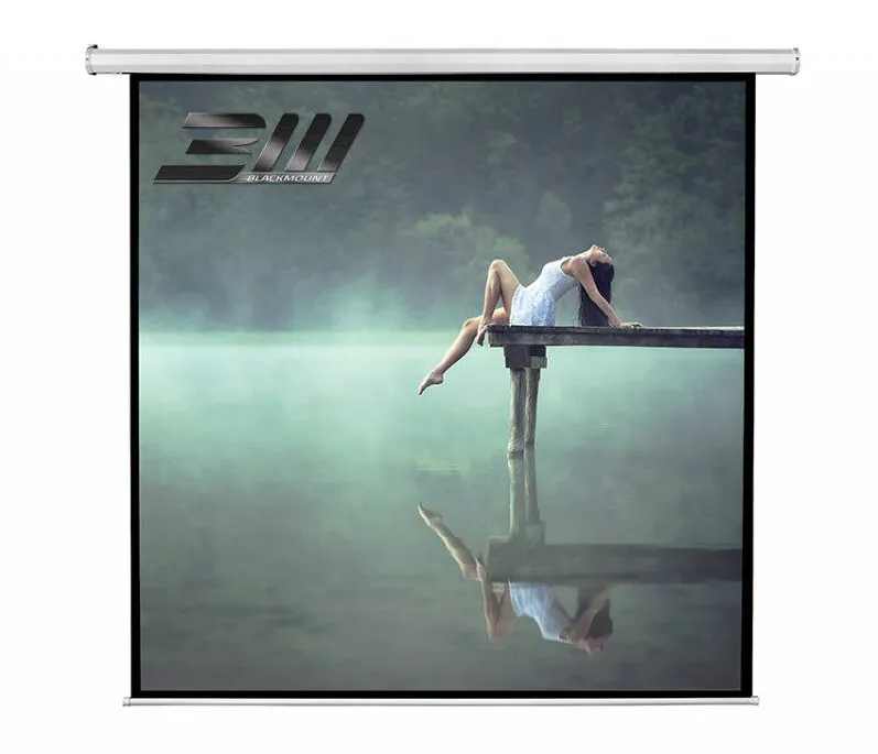 Ecran de proiectie Blackmount 1/1EL200RC-BM-ECRPER, 200 x 200 cm