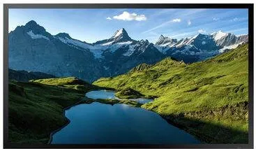 Monitor Samsung LH55OHAOSGBXEN Smart 55 inch FHD VA 6 ms 60 Hz