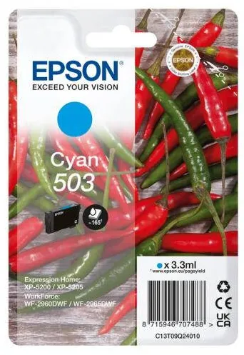 Cartus Imprimanta Epson C13T09Q24010 Cyan